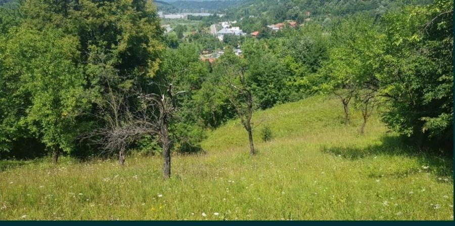 Teren Construcții intravilan de 17000 mp, în Doftana