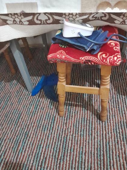 Casă cu Teren 3300 Mp în Zoița