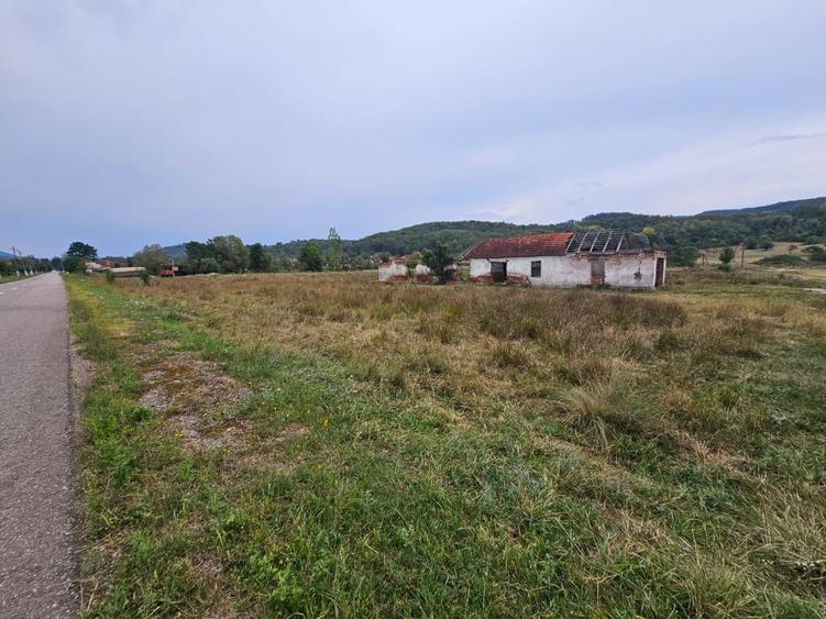 Teren Construcții intravilan de 47430 mp, în Petriș