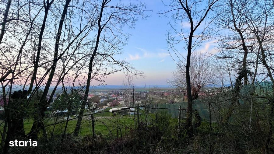 Teren de 495 mp, în Poiana Angelescu
