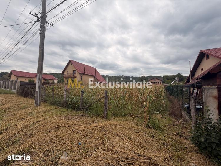 Teren pretabil unei construc?ii de vis - Babana - zona cu padure - 2