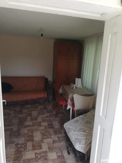 Teren de 5000 mp, în Pălatca