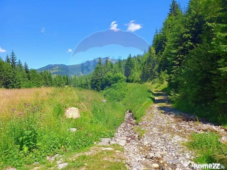 Teren în Central