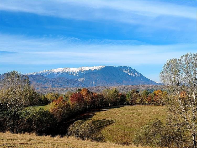 Teren agricol extravilan de 5800 mp, în Sohodol