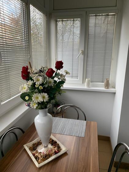 Apartament cu 2 camere, mobilat în Dacia