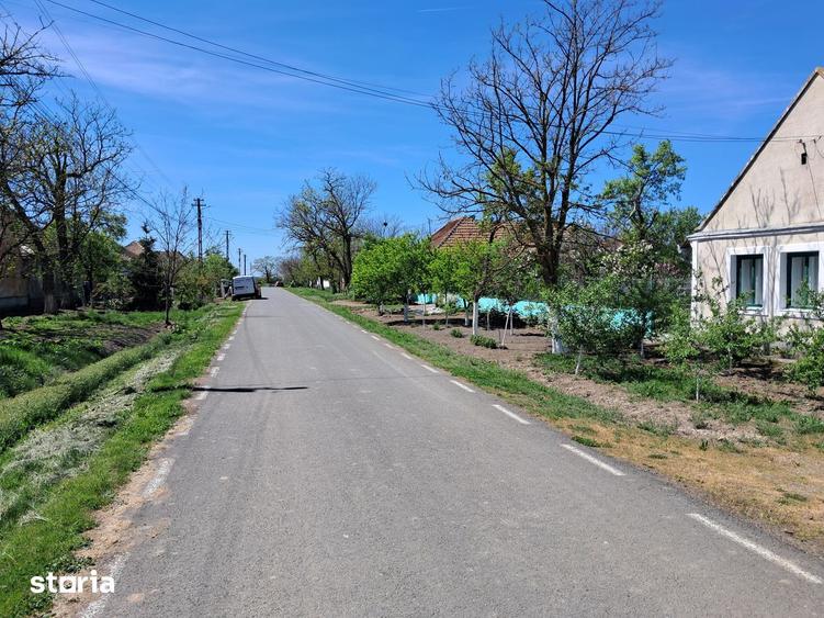 Valcani, proprietate cu casa taraneasca - 6