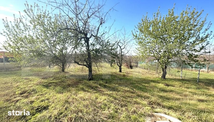 Teren de 1000 mp, în Oncea