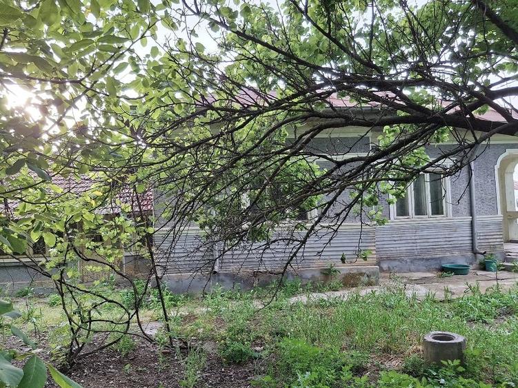 Casă cu Teren 1800 Mp în Radovanu