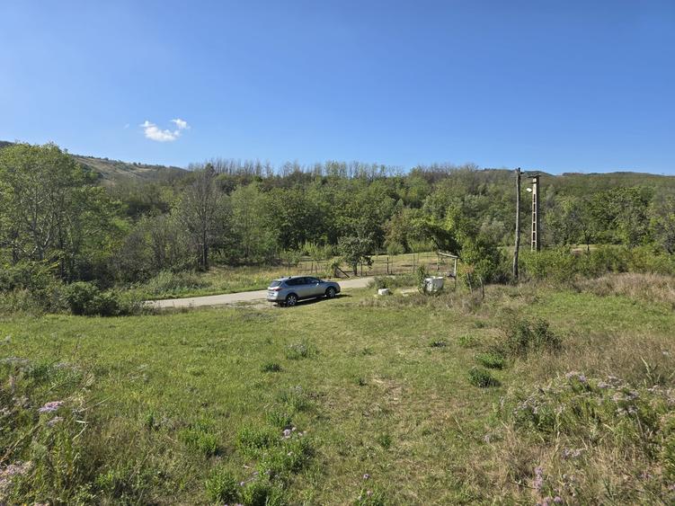 Teren Construcții intravilan de 5000 mp, în Boboci