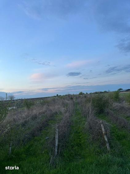 Teren de 5000 mp, în Central