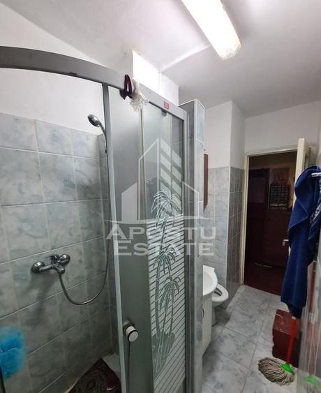 Apartament cu 3 camere semidecomandat, mobilat în Șagului