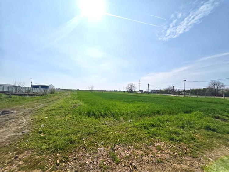 Teren Construcții intravilan de 13602 mp, în Zurbaua