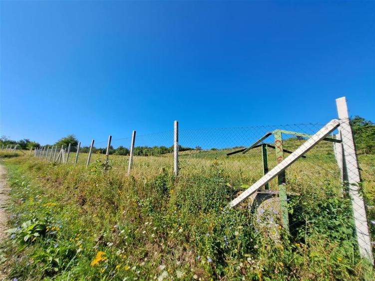 Teren Construcții intravilan de 9461 mp, în Podgoria