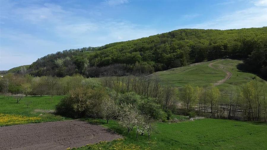 Casă cu 7 camere cu Canalizare în Pătrăuți