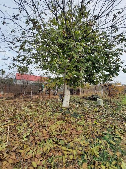 Casă cu 4 camere cu Teren 1375 Mp în Plopi