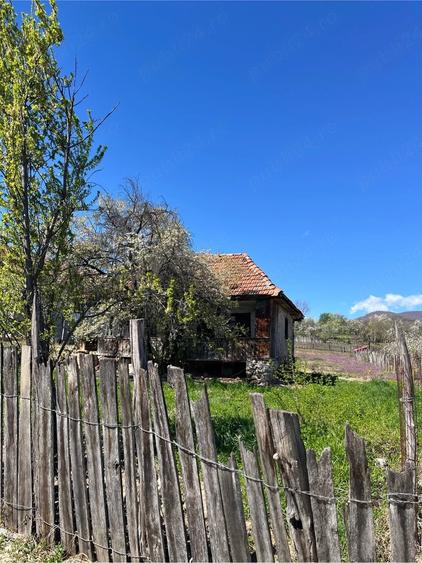 Casă cu Teren 2000 Mp în Valea