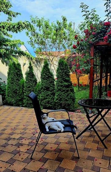 Casă individuală cu 3 camere cu Teren 530 Mp în Glina