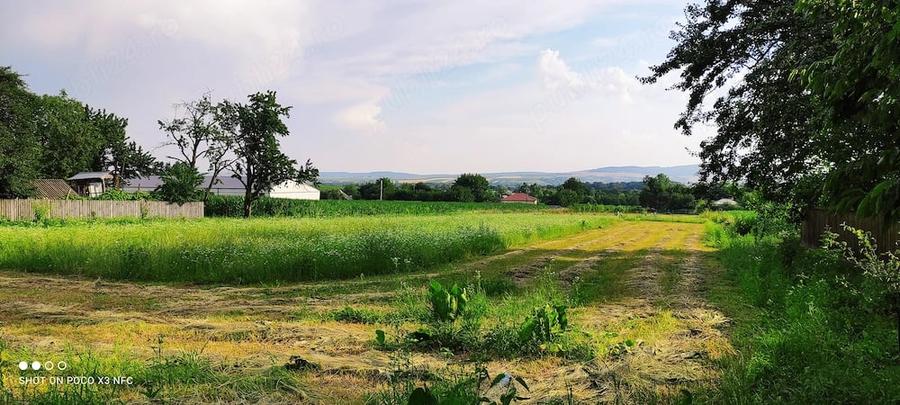 Teren de 2950 mp, în Vârfu Câmpului