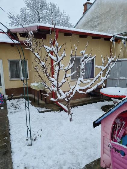Casă cu 3 camere cu Teren 100 Mp în Câmpinița