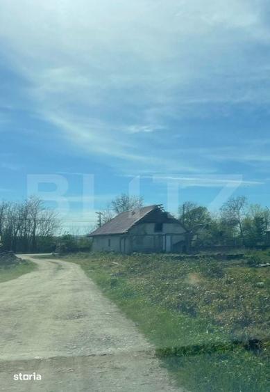 Teren de 1800 mp, în Pomi