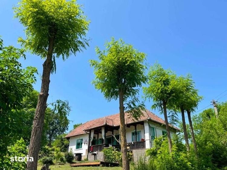 Casă cu 2 camere cu Teren 5032 Mp în Geaca