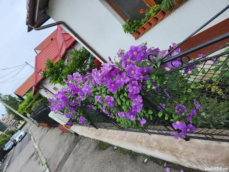 Casă cu 4 camere cu Teren 563 Mp în Central