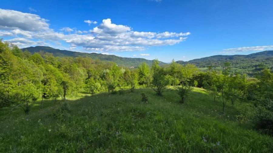 Teren agricol extravilan de 4570 mp, în Corbeni