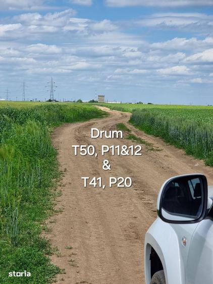 Teren de 33100 mp, în Glina