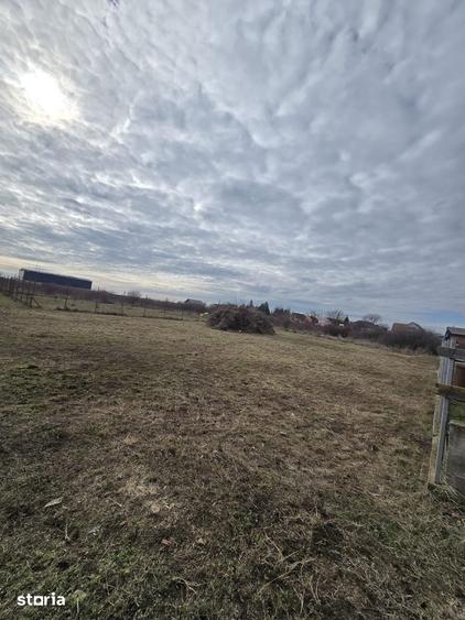 Teren de 500 mp, în Zădăreni