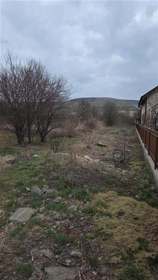 Teren intravilan de 1150 mp, în Calea Voinicenilor