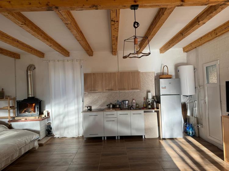 Casă individuală cu 1 camere cu Teren 4000 Mp în Muntele Rece