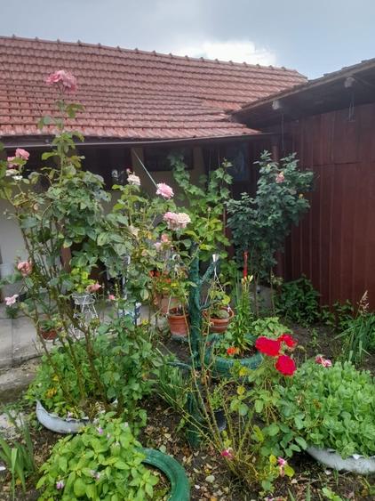 Casa de vanzare! - 5