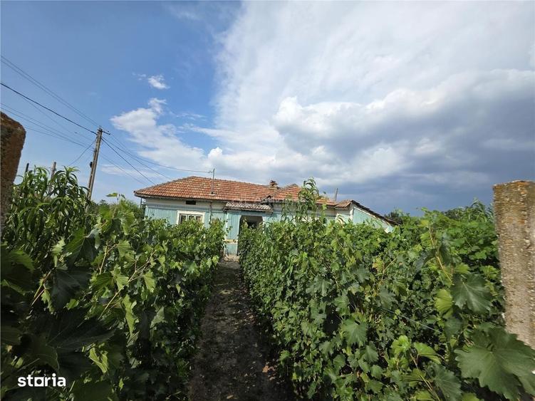 Casă cu 2 camere în Roșioru