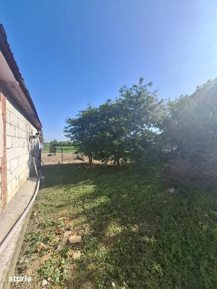De vanzare casa batraneasca in comuna Horia,situata pe teren de 2156mp - 7
