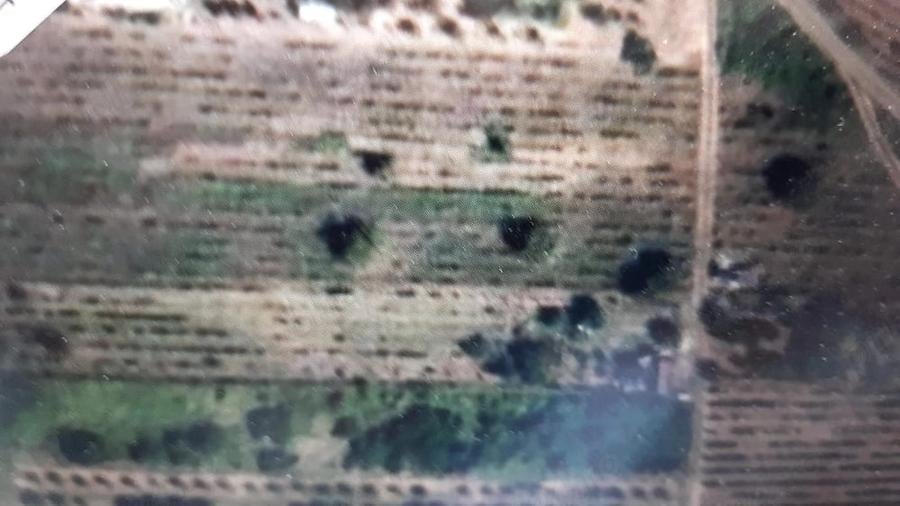 Teren de 1131 mp, în Biharia