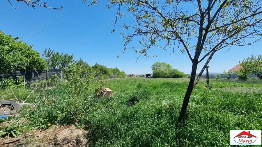 Casă cu Teren 1500 Mp în Lucian Blaga