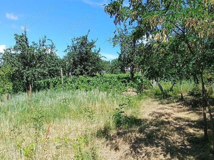 Teren de 2500 mp, în Dealu Cucului