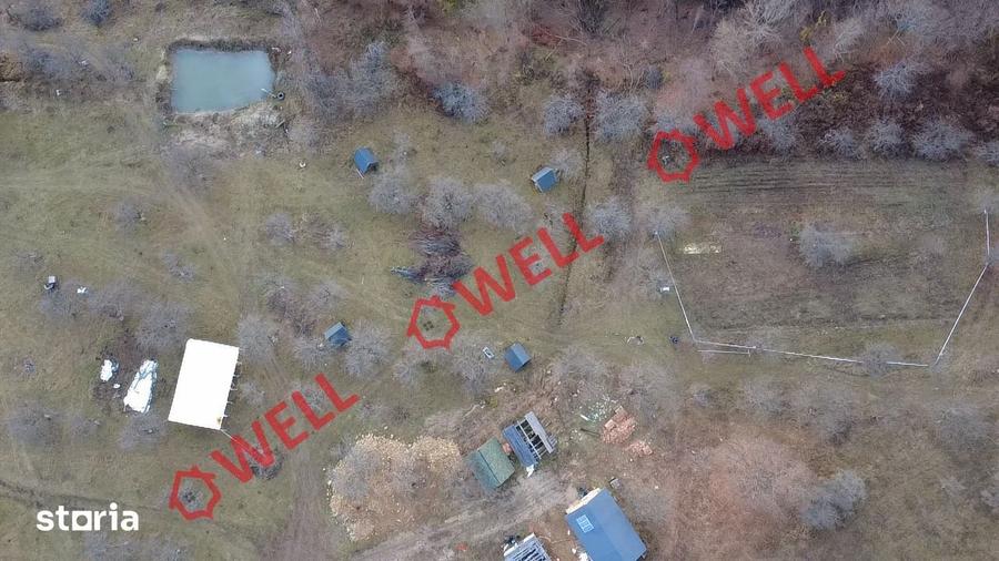 Teren extravilan de 25.274 m2 de vanzare in Calnic, langa padure! - 2