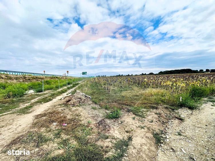Teren de 14863 mp, în Ciorogârla