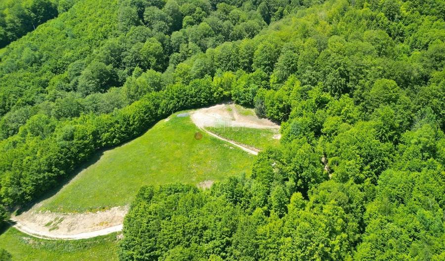 Teren Construcții extravilan de 16000 mp, în Poiana Mărului