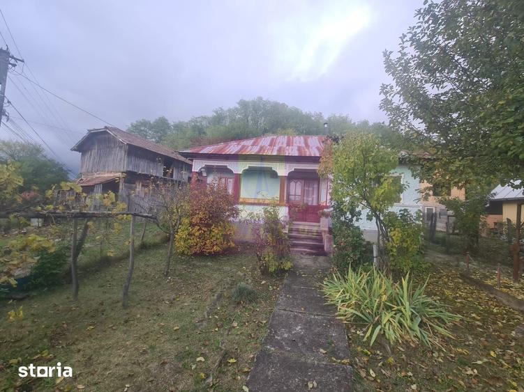 Casă cu 3 camere cu Teren 3410 Mp în Aluniș