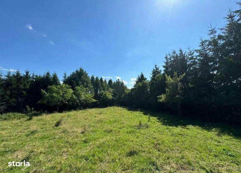 Teren intravilan 5.755 mp | Zona Muzeul Satului Maramuresean, Sighetu - 4