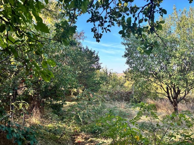 Teren de 2500 mp, în Breaza