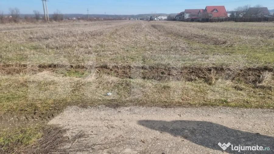 Teren în Lipănești
