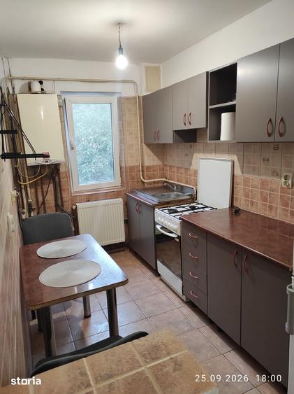 Apartament cu 2 camere în Alexandru cel Bun