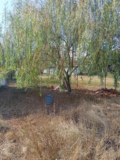 Casă cu Teren 2254 Mp în Bruznic