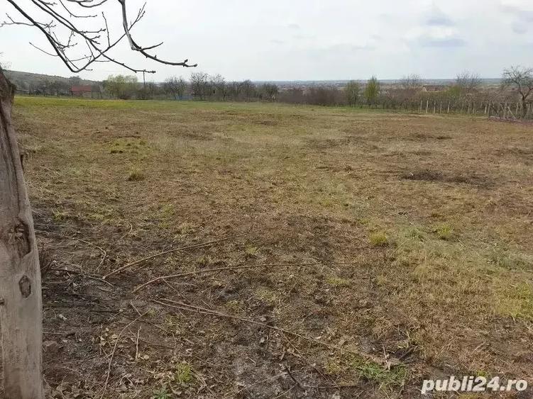 Teren de 2200 mp, în Mâsca