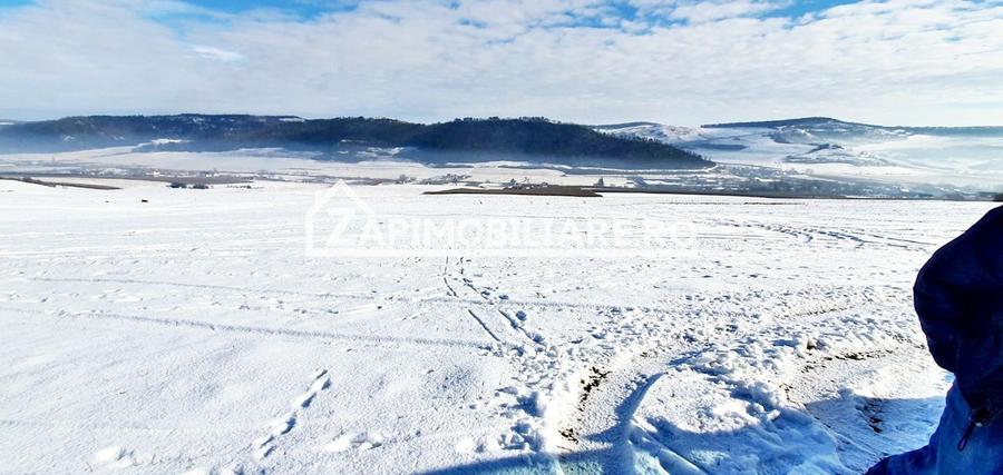 Teren agricol extravilan de 5600 mp, în Voiniceni