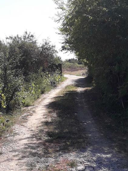 Teren intravilan de vanzare direct de la proprietar