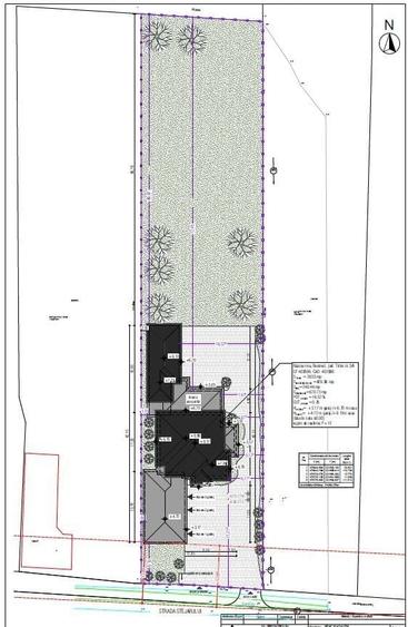 Teren Construcții intravilan de 2633 mp, în Bazoșu Nou